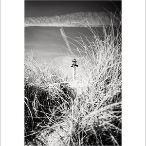 L1003484-Bearbeitet.JPG