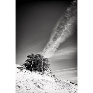 L1003489-Bearbeitet.JPG