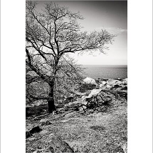L1003544-Bearbeitet.JPG