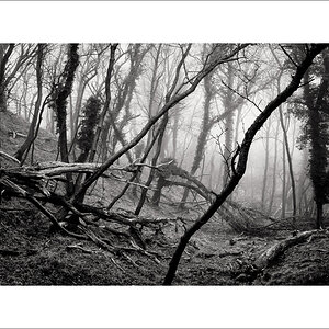 L1003372-Bearbeitet.JPG
