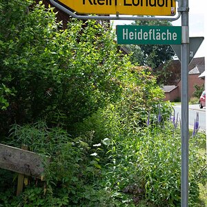 Klein-London 2.jpg