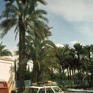 Nouruz76-46.jpg