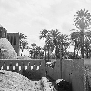 20240529-NIK_7373-2.jpg