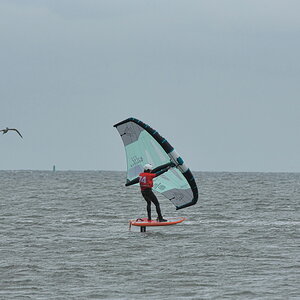 DFX_8669.jpg