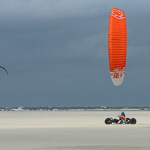 DFX_8631.jpg