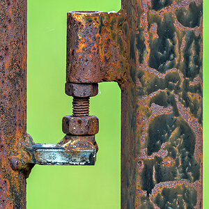 OF5_45870.jpg