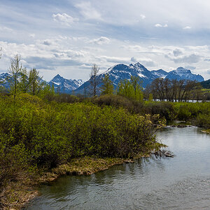 DSC_3584.jpg