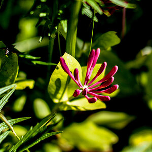 P6130047-Edit.jpg