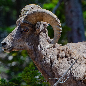 DSC_3266-Bearbeitet-2.jpg