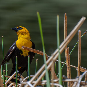 DSC_3391-Verbessert-RR.jpg