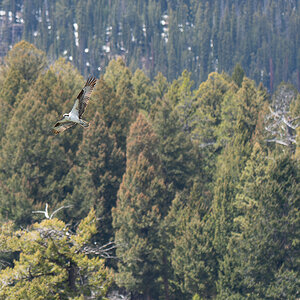 DSC_3453 (2)-Verbessert-RR.jpg