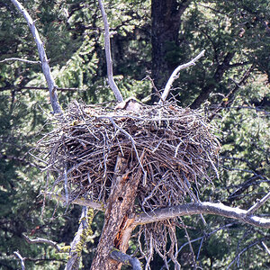 DSC_3840 (2)-Verbessert-RR-2.jpg