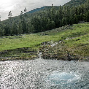 DSC_3921.jpg