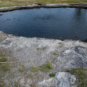 DSC_3925.jpg