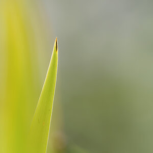 N6283602nikon-1.jpg