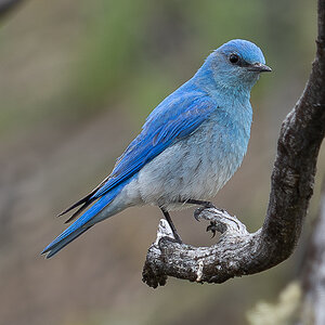 DSC_4251-Verbessert-RR.jpg