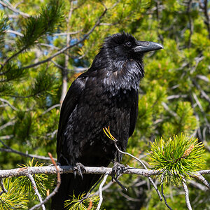 DSC_4374.jpg