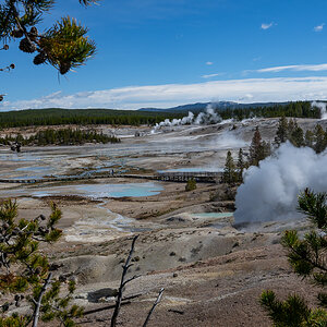 DSC_4393.jpg