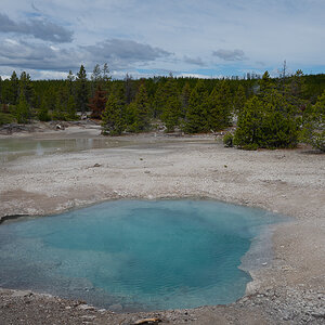 DSC_4423.jpg