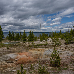 DSC_4488-Bearbeitet.jpg