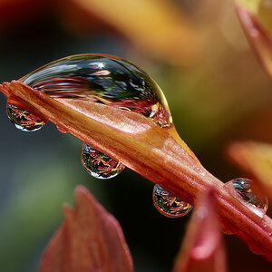 N6303732nikon.jpg
