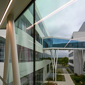 Arch_Sartorius_PZ6_0848_PS.jpg
