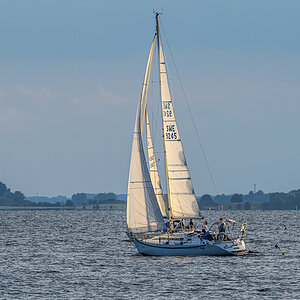 OF5_40975.jpg