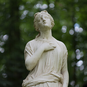 Z62_0649.jpg