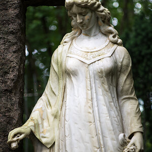 Z62_0660.jpg