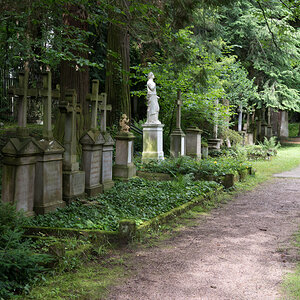 Z62_0695.jpg