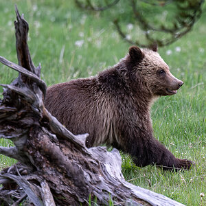 DSC_4069 (2)-Verbessert-RR.jpg