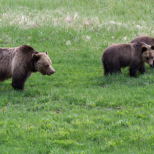 DSC_4092 (2)-Verbessert-RR-3.jpg
