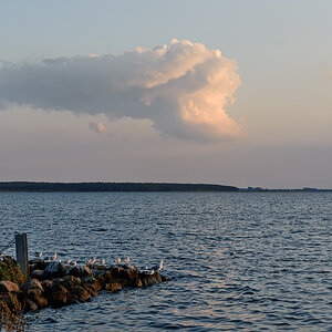 OF2_65749.jpg
