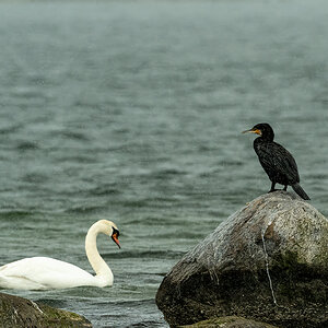 DSC_0652.jpg