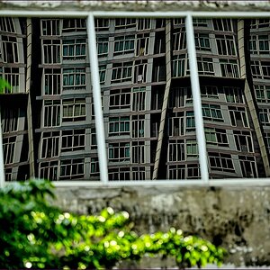 comp_2window-lumi.jpg
