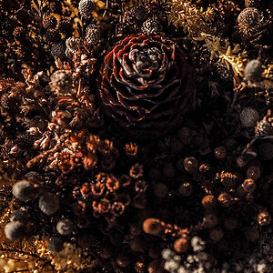 P7060045-Edit.jpg