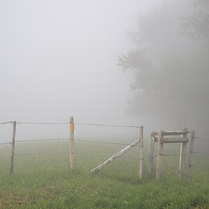 Nebel.jpg
