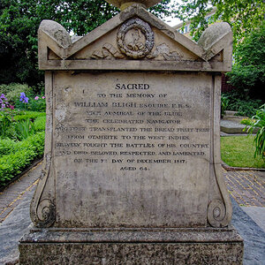 DSCN0979.jpg