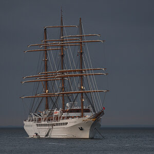DSC_1298.JPG