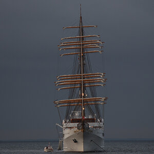 DSC_1299.JPG