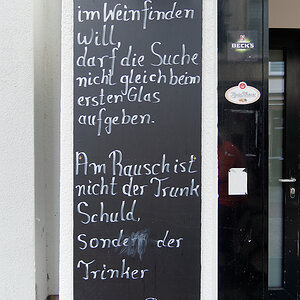 Wein und Rausch.jpg