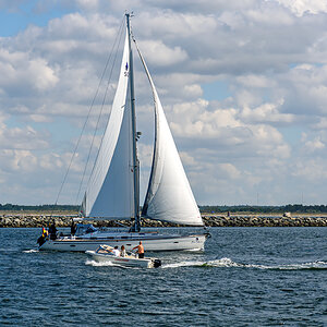 OF2_59084.jpg