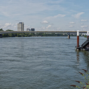 _1180559_DxOPAxlBKS.jpg