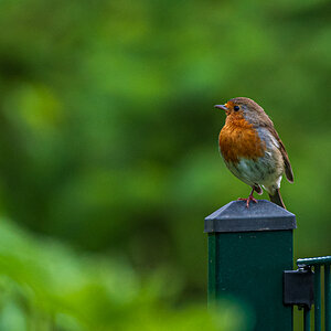 DSC_4977.jpg