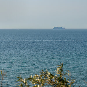 OF2_65167.jpg