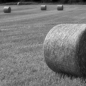 Rundballen BW_bearbeitet-1.jpg