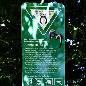 DSC_1499-20240720.jpg