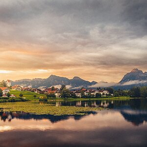Hopfen am See