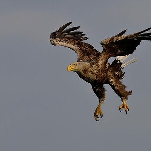 2024_047790_DxO.jpg