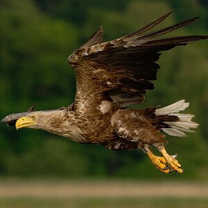 2024_047796_DxO.jpg